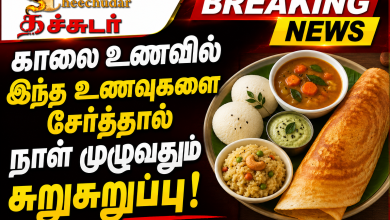 பழங்கள் மற்றும் காய்கறிகளில் உள்ள நார்ச்சத்து காலை உணவில் இந்த உணவுகளை சேர்த்தால் நாள் முழுவதும் சுறுசுறுப்பு! 4 பழங்கள் மற்றும் காய்கறிகளில் உள்ள நார்ச்சத்து காலை உணவில் இந்த உணவுகளை சேர்த்தால் நாள் முழுவதும் சுறுசுறுப்பு! Theechudar