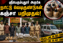 ஸ்ரீபெரும்புதூர் அருகே நாட்டு வெடிகுண்டுகள் கஞ்சா பறிமுதல் ஸ்ரீபெரும்புதூர் அருகே நாட்டு வெடிகுண்டுகள், கஞ்சா பறிமுதல்! Theechudar