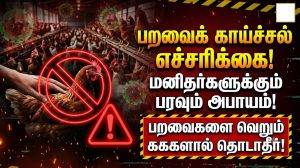 hot news எச்சரிக்கை வைரஸ் மனிதர்களுக்குப் பரவும் அபாயம் பறவைக் காய்ச்சல் பறவைகளை வெறும் கைகளால் தொடவேண்டாம் 2 பறவைக் காய்ச்சல்