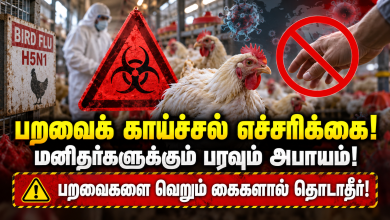 paravaikaichchal எச்சரிக்கை வைரஸ் மனிதர்களுக்குப் பரவும் அபாயம் பறவைக் காய்ச்சல் பறவைகளை வெறும் கைகளால் தொடவேண்டாம் Theechudar