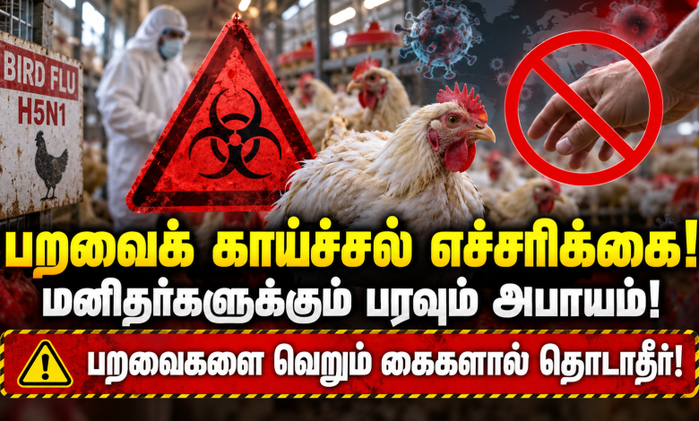paravaikaichchal எச்சரிக்கை வைரஸ் மனிதர்களுக்குப் பரவும் அபாயம் பறவைக் காய்ச்சல் பறவைகளை வெறும் கைகளால் தொடவேண்டாம் 1 paravaikaichchal எச்சரிக்கை வைரஸ் மனிதர்களுக்குப் பரவும் அபாயம் பறவைக் காய்ச்சல் பறவைகளை வெறும் கைகளால் தொடவேண்டாம் Theechudar